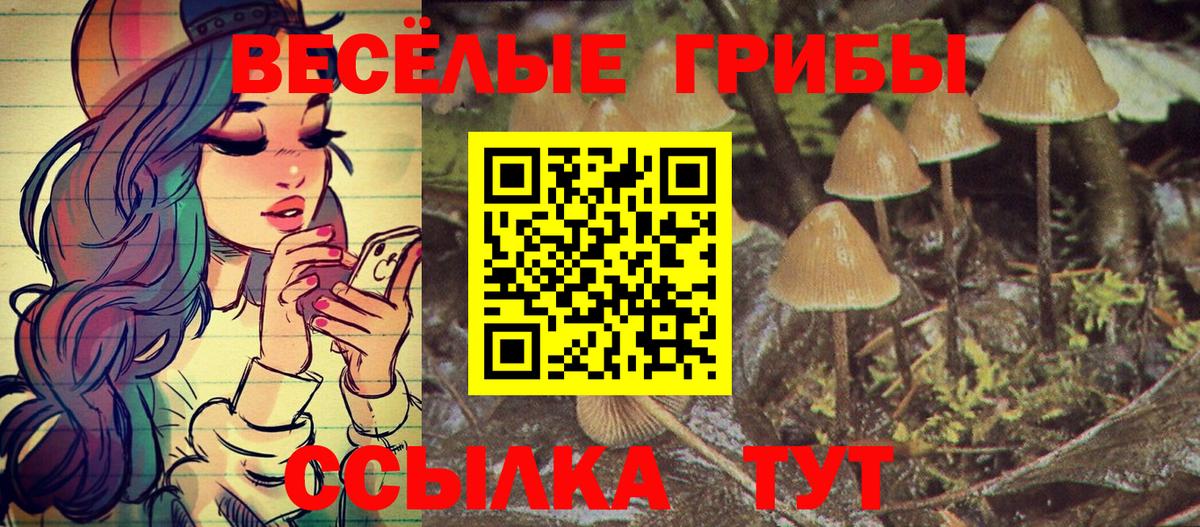 Ступино  Псилоцибиновые грибы GOLDEN TEACHER  Вход с VPN 